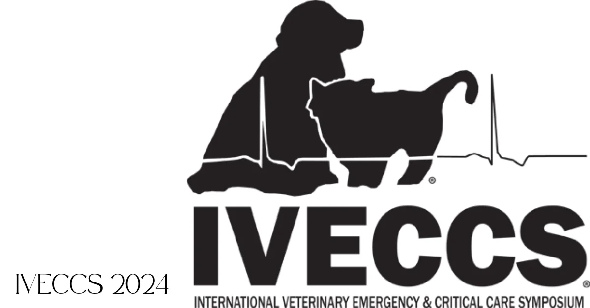 iveccs 2024