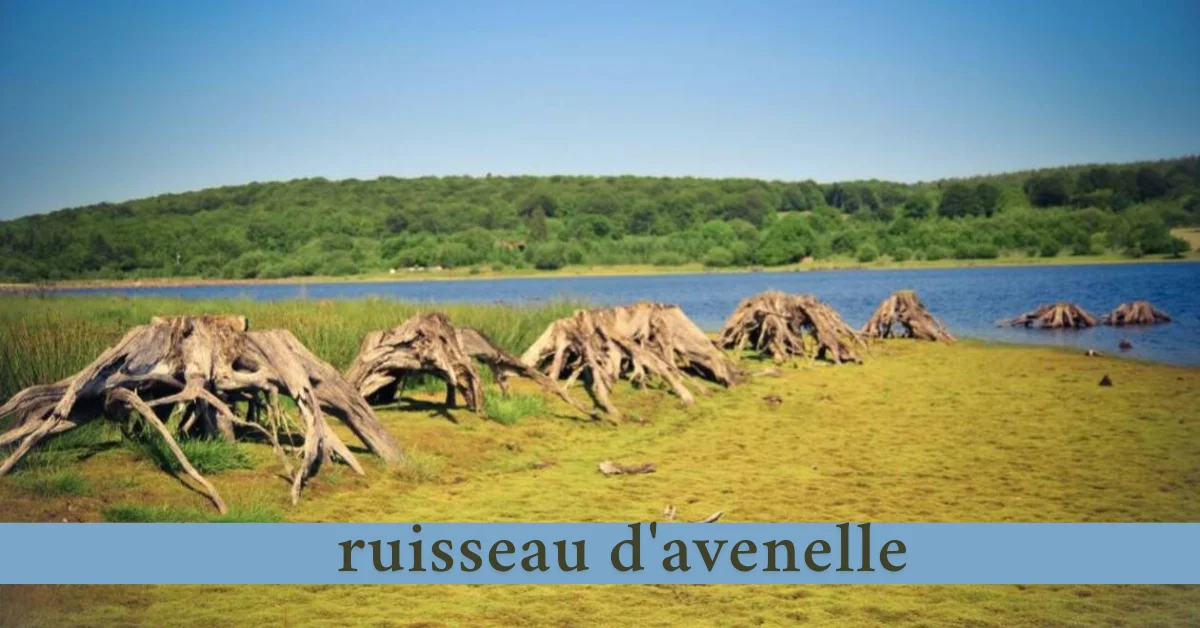 ruisseau d'avenelle