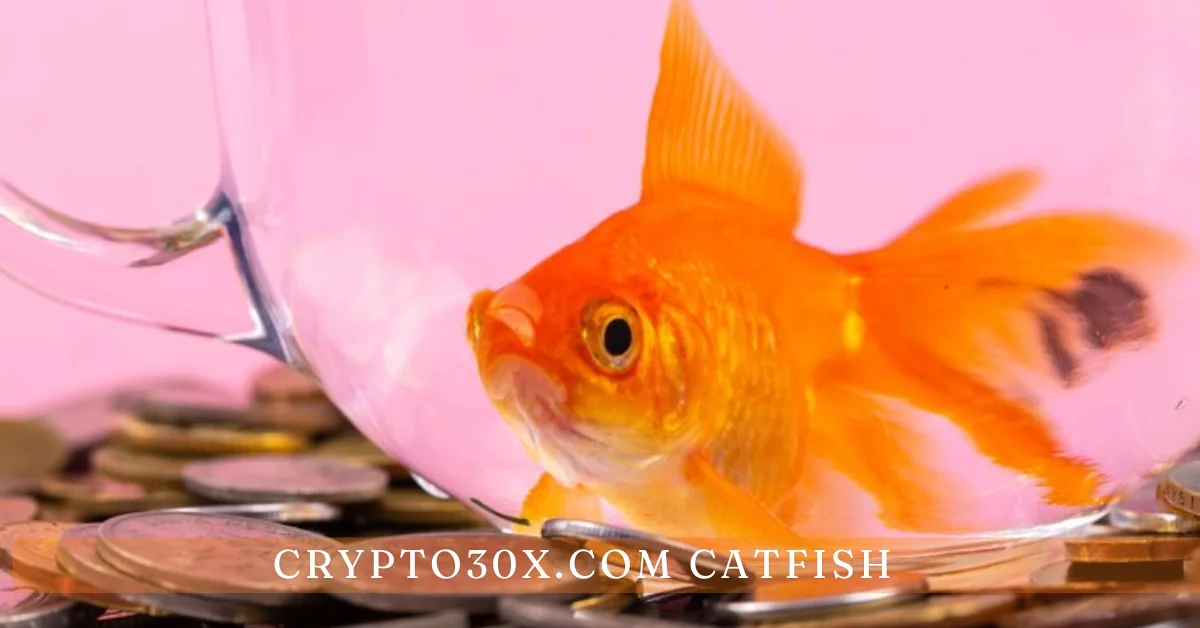 crypto30x.com catfish